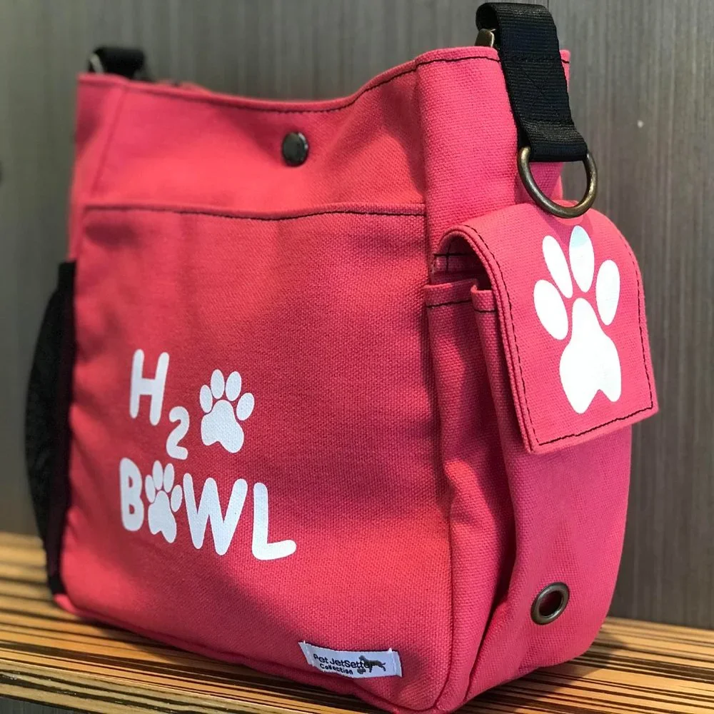 Dog Day Out Bag to hold dog's necessities - Great gift too!